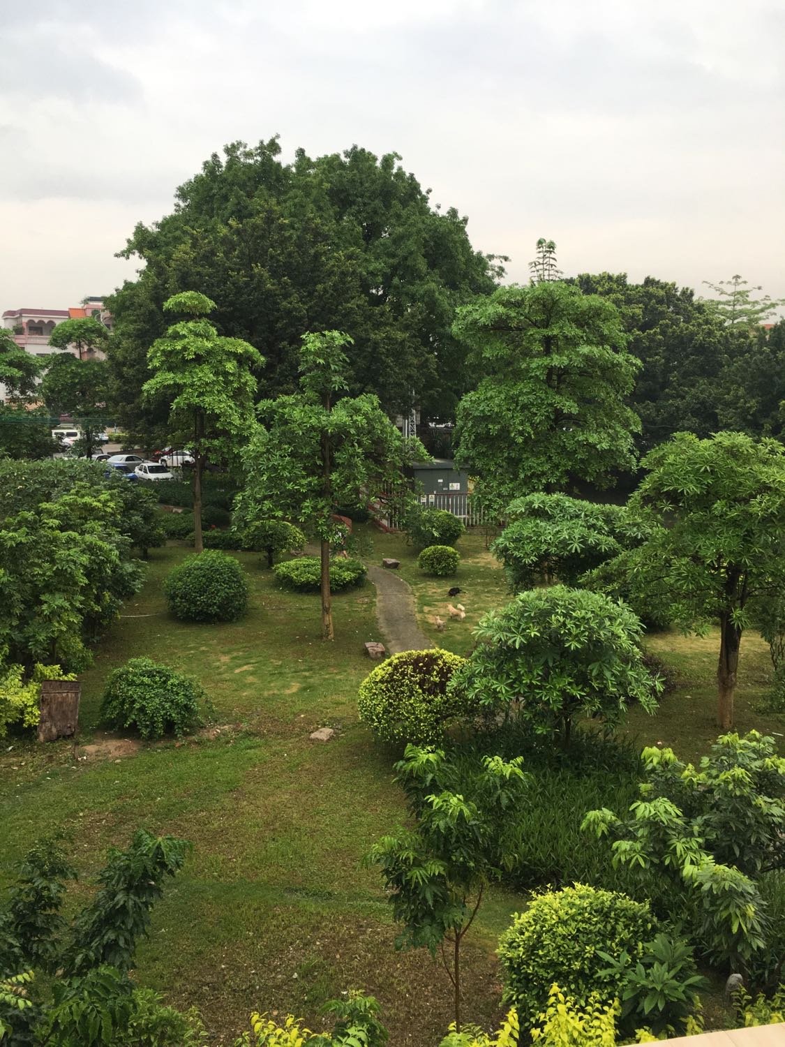 广东省佛山市禅城区天气概况