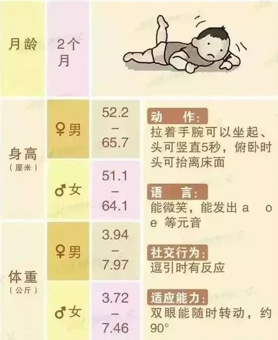 三个月宝宝的身高体重，生长与发育的初步探索