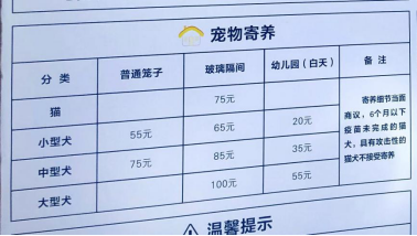 寄养宠物一个月的费用分析