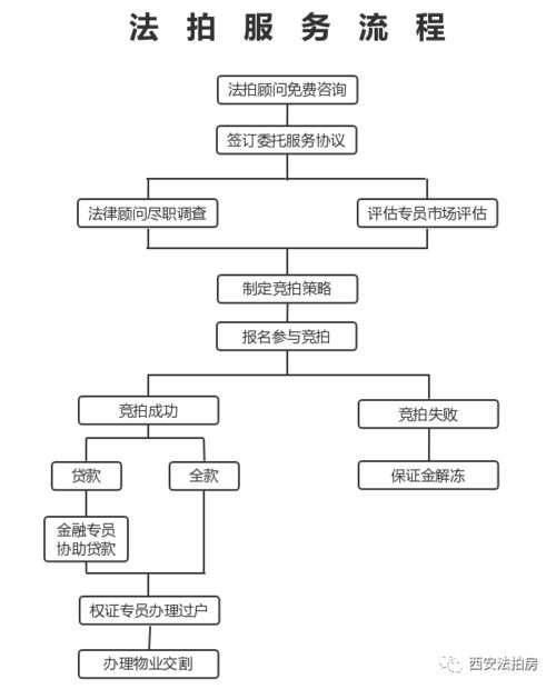 深圳房产市场信息概览，解读房产购买的全流程与关键信息