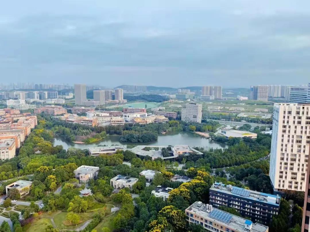 湖北绿码通行广东省，数字化时代的便捷生活