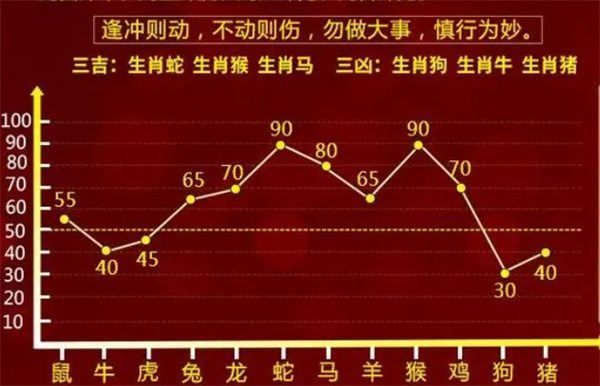 精准一肖一码一子一中，全面释义、解释与落实