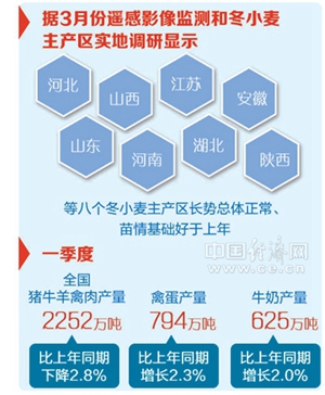 精准一肖一码一子一中，全面贯彻解释落实的重要性