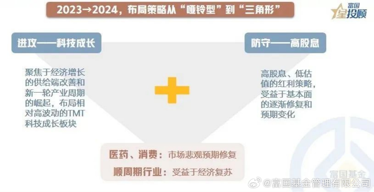 关于一肖一码一中一特的全面释义与落实策略，展望2024-2025年