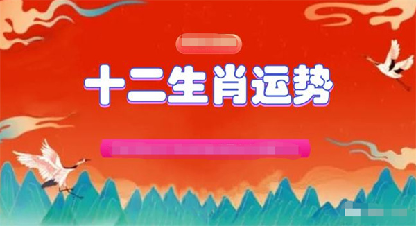 精准一肖一码一子一中，全面释义、解释与落实