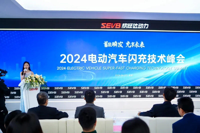 迈向新时代，2024-2025年正版资料全年免费共享与全面贯彻解释落实