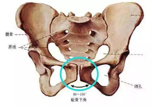 磨骨后半个月，重塑与恢复之旅