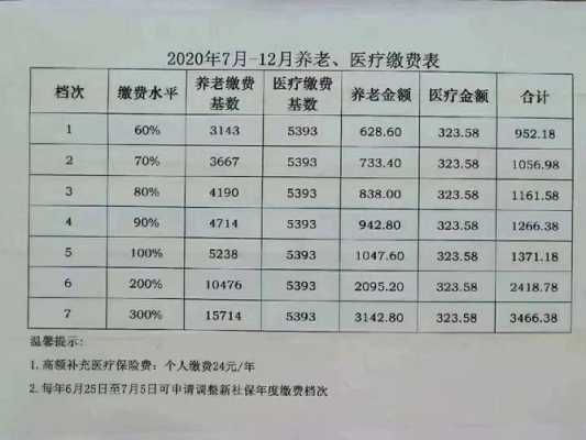 社保一个月能领多少钱，深度解析与实例展示