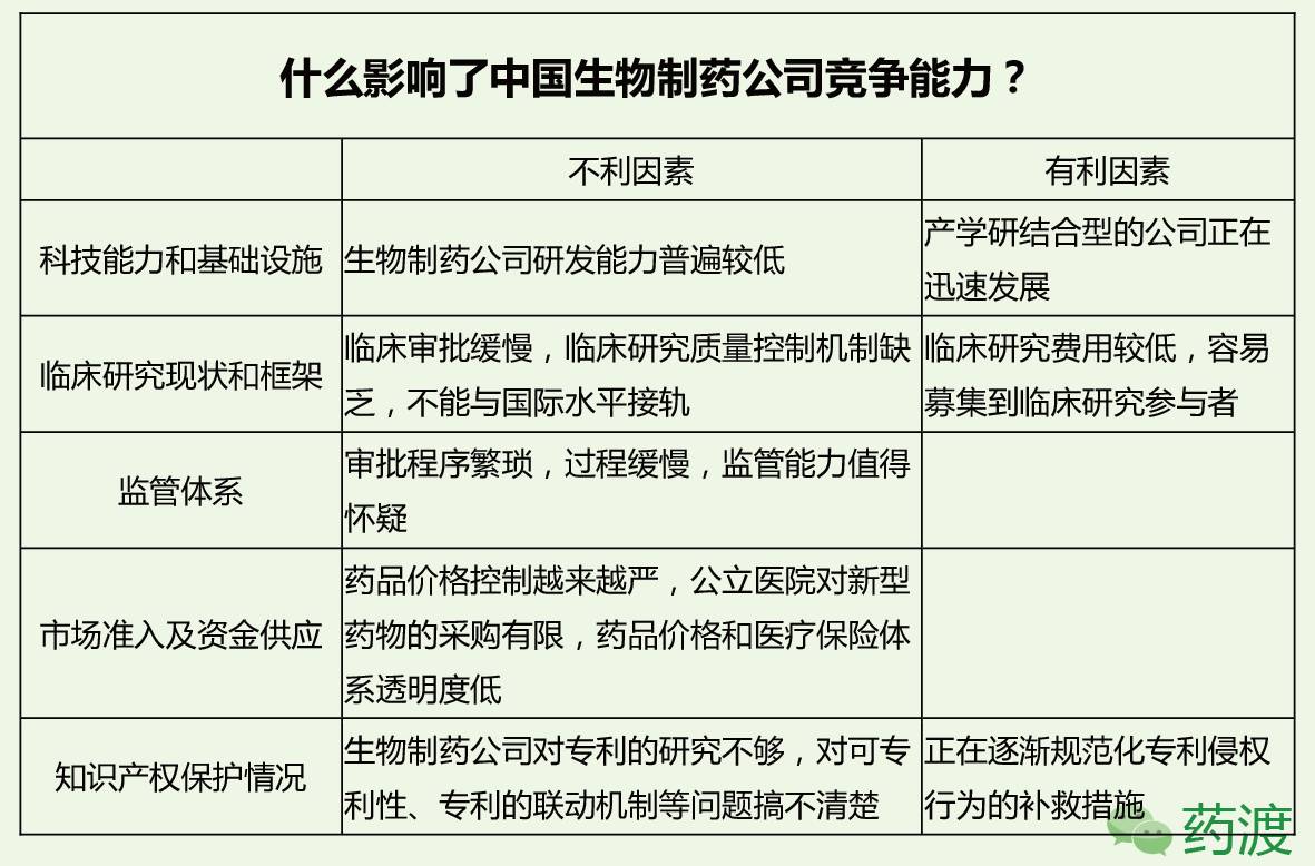 广东制药有限公司行业排名及其综合竞争力分析