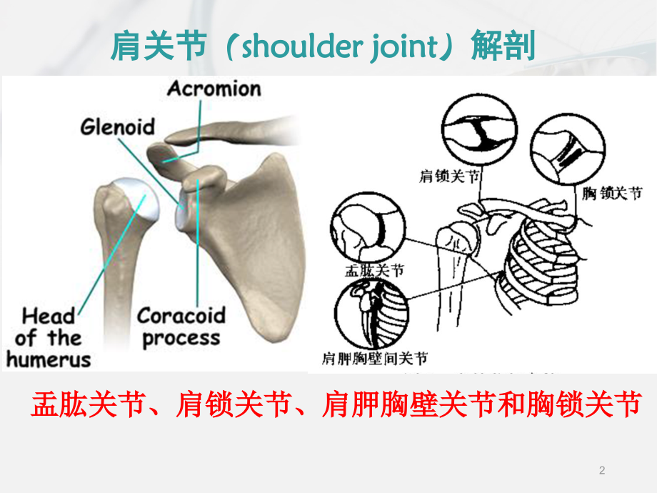 肩锁关节疼痛两个月了，原因、诊断与治疗方法