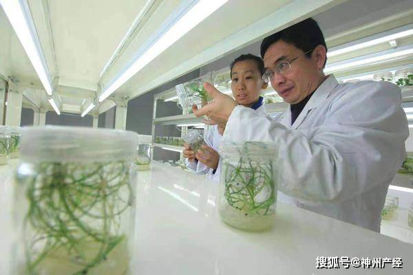 江苏知了生物科技的崛起与创新之路