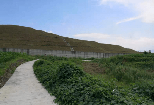 广东省荒山荒地植被费，生态修复与绿色发展的探索