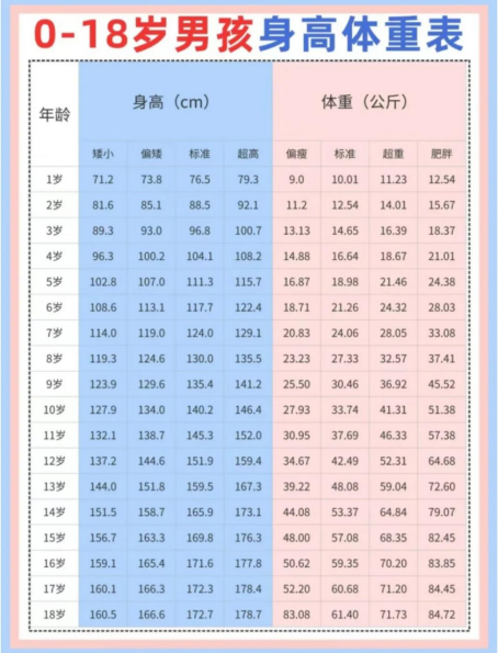 十一个月宝宝身高体重标准详解