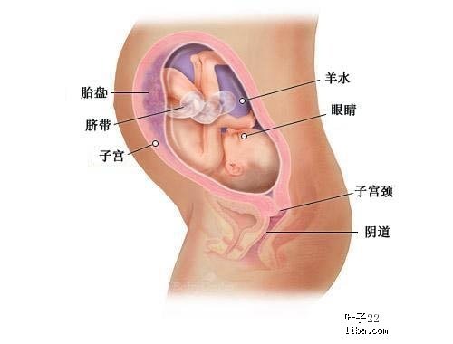 广东省妇幼保健院四维彩超技术，守护母婴健康的新里程碑