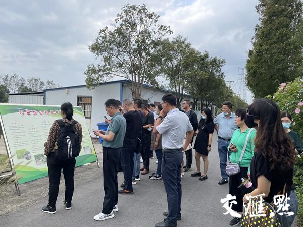 江苏苏福农业科技，引领现代农业发展的先锋力量