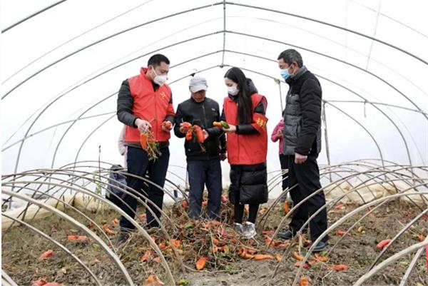 江苏曜曜科技，引领科技创新的先锋力量