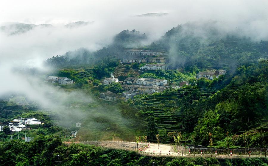 广东省旅游学校专业深度解析