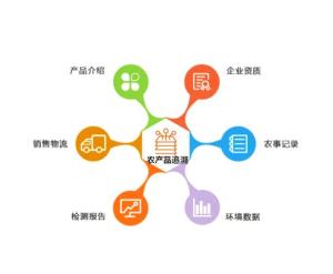 广东省特殊食品电子追溯系统，构建透明供应链，保障民众健康