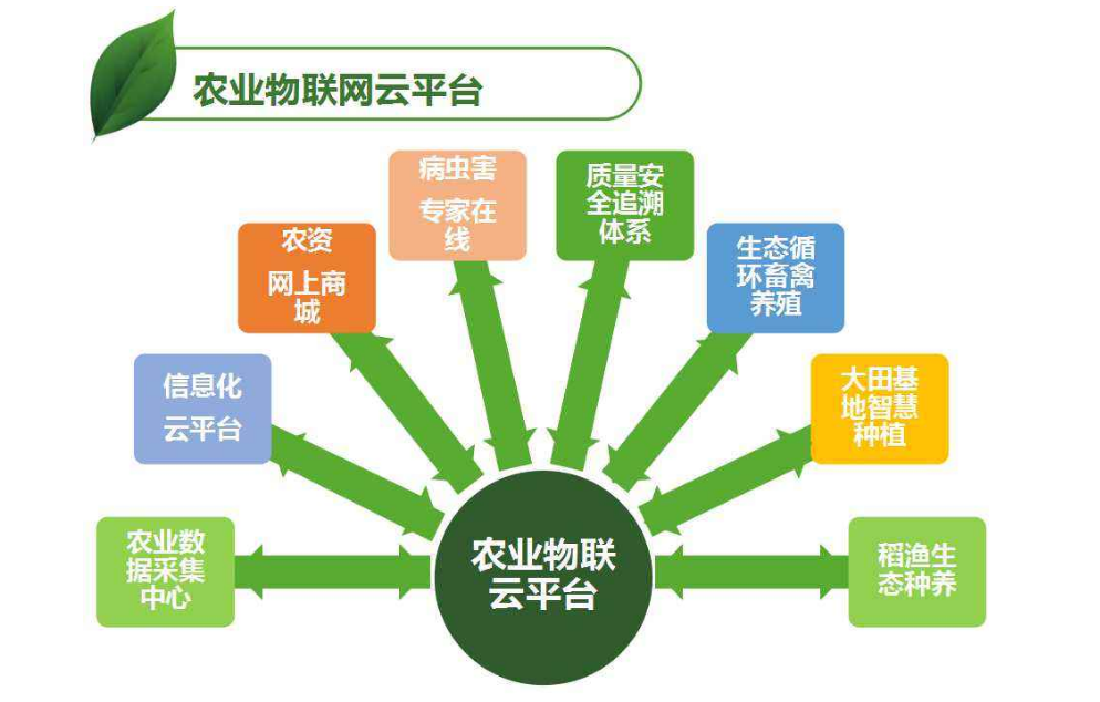 广东省智慧云平台系统，引领数字化转型的新力量