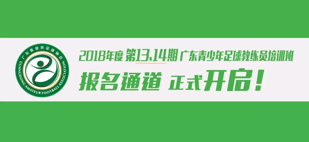 广东健力宝药业有限公司，健康之道的稳健步伐