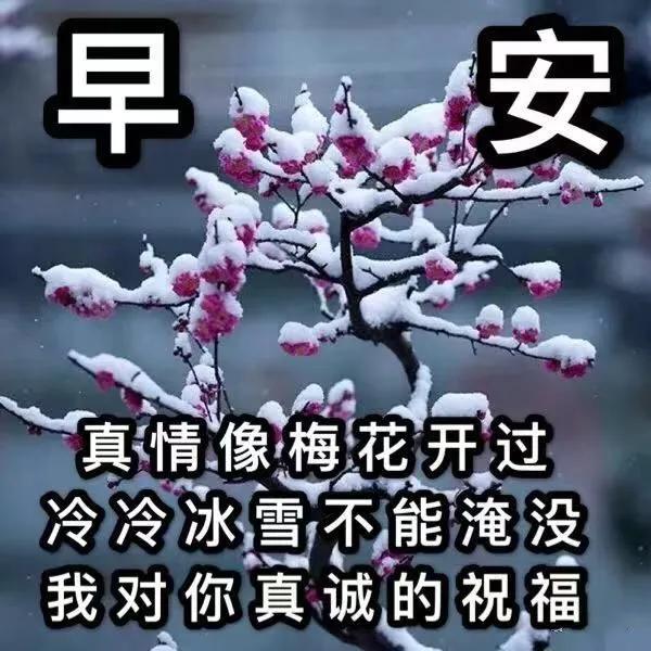 广东永恒食品有限公司，卓越品质，共创未来