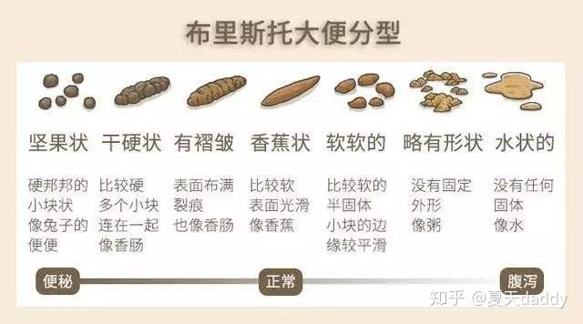 两个月宝宝粘稠大便图，解读宝宝排便状况与应对策略