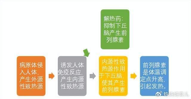 关于7个月宝宝发烧怎么办的实用指南